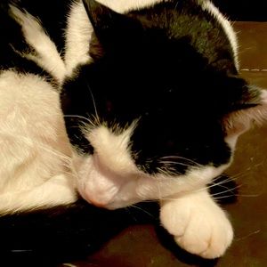 Meet your Posher, Elias